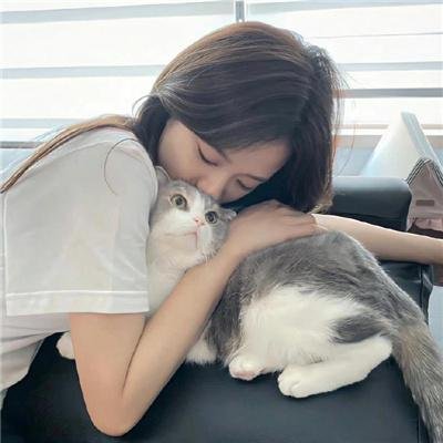 分裂大师